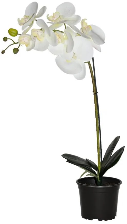 Umelá prémiová orchidea 7 kvetov 70 cm