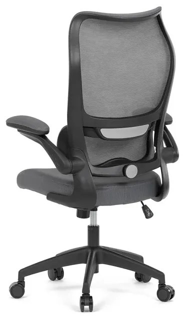 Kancelárska stolička ERGO Mesh Pro/sivá