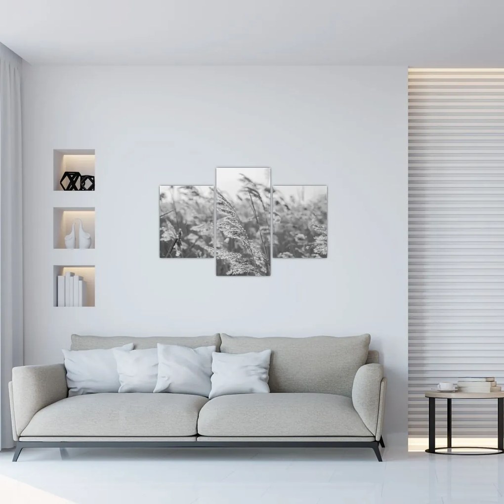 Obraz - Tráva vo vetre (90x60 cm)
