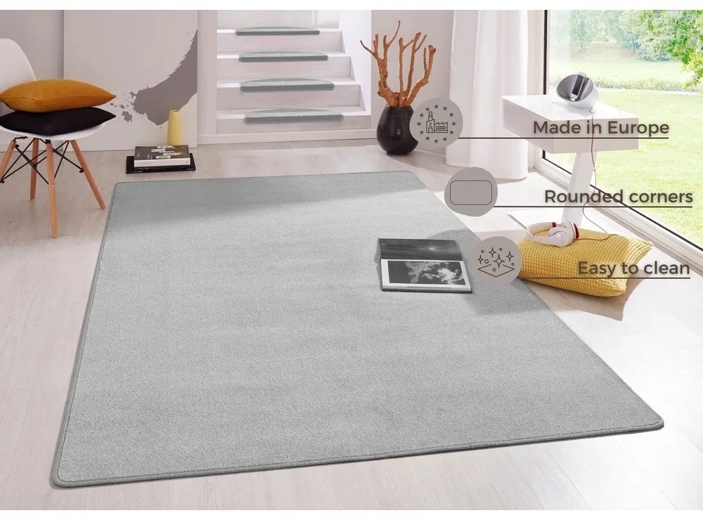 Svetlosivý koberec 200x280 cm Fancy – Hanse Home