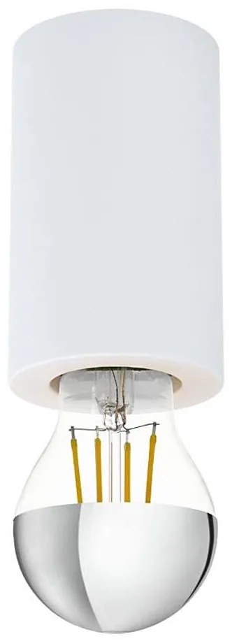 Eglo 99066 - Stropné svietidlo SALUZZO 1xE27/40W/230V