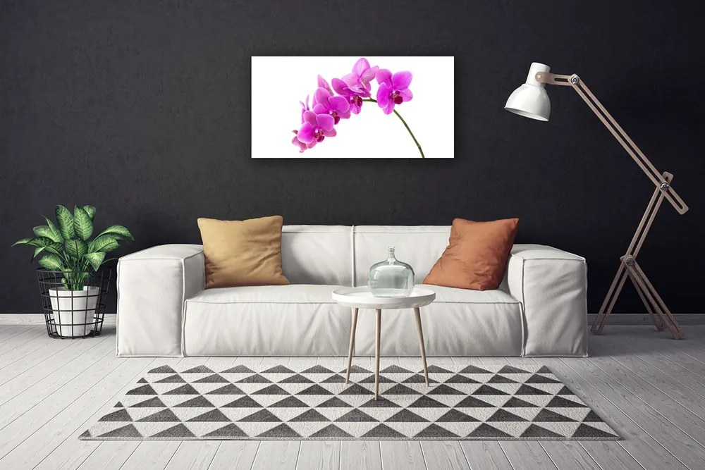 Obraz Canvas Vstavač kvet orchidea 100x50 cm