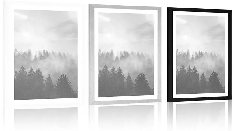Plagát s paspartou hmla nad lesom v čiernobielom prevedení - 30x45 white