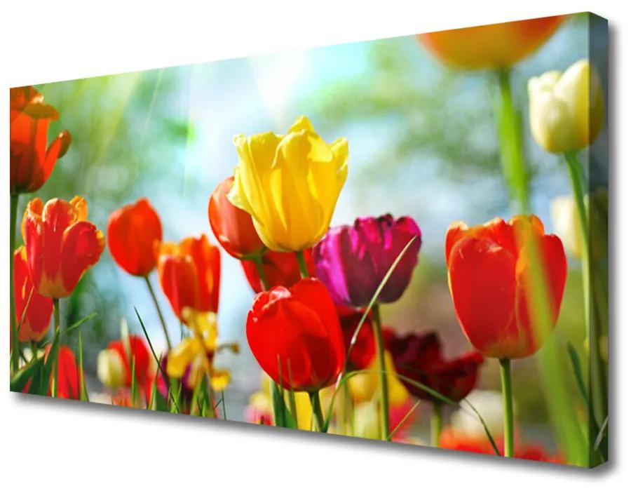 Obraz na plátne Kvet 100x50 cm