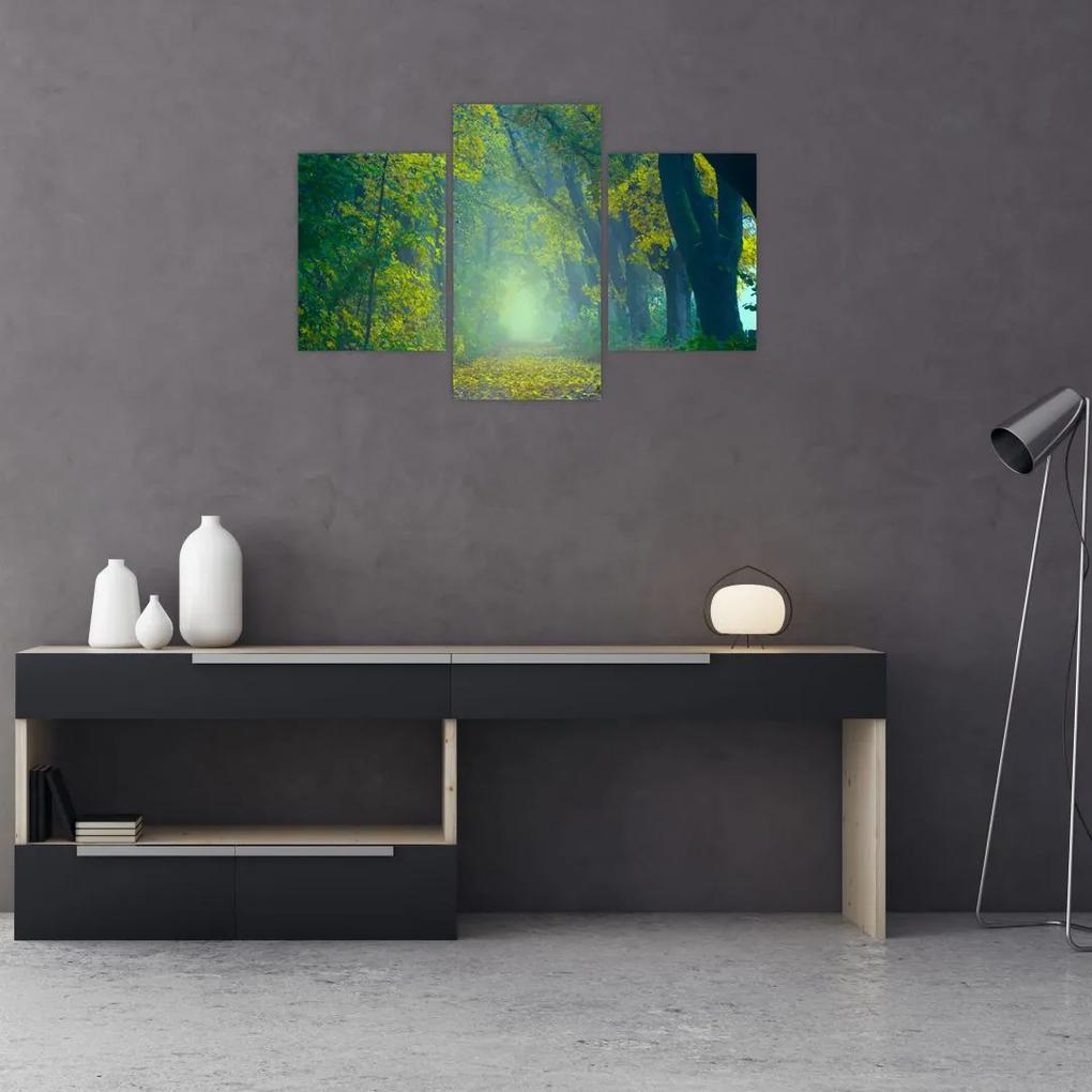 Obraz cesty lemovanej stromami (90x60 cm)