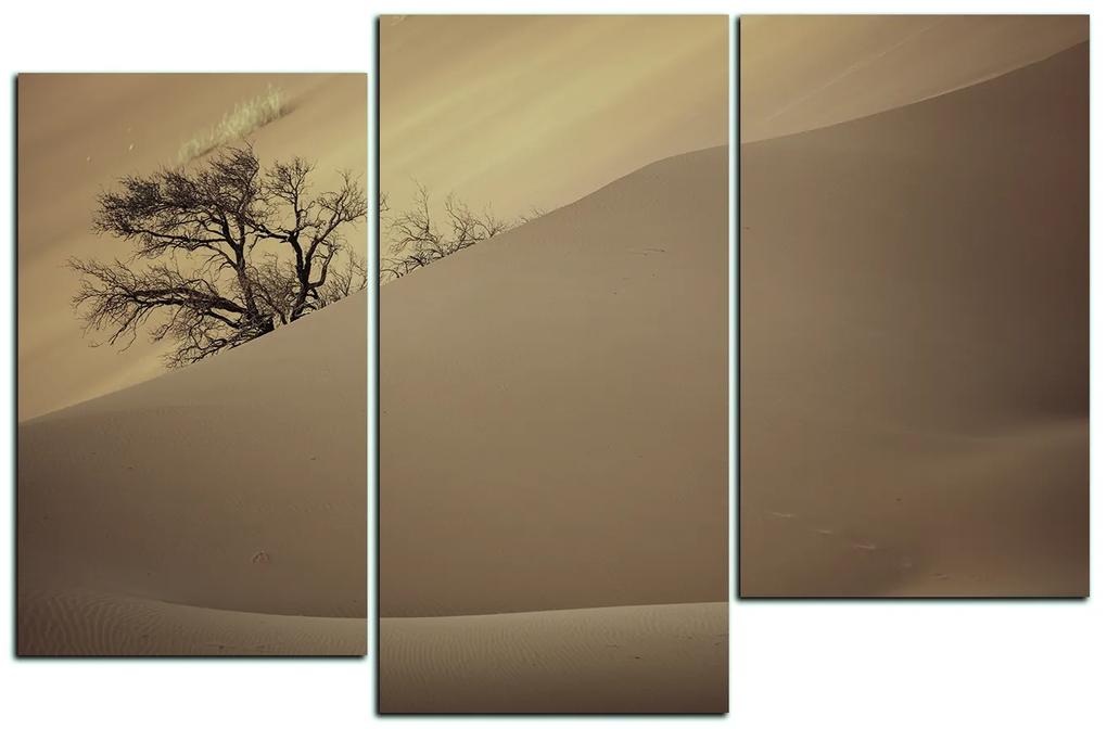 Obraz na plátne - Červené piesočné duny 1133FD (150x100 cm)
