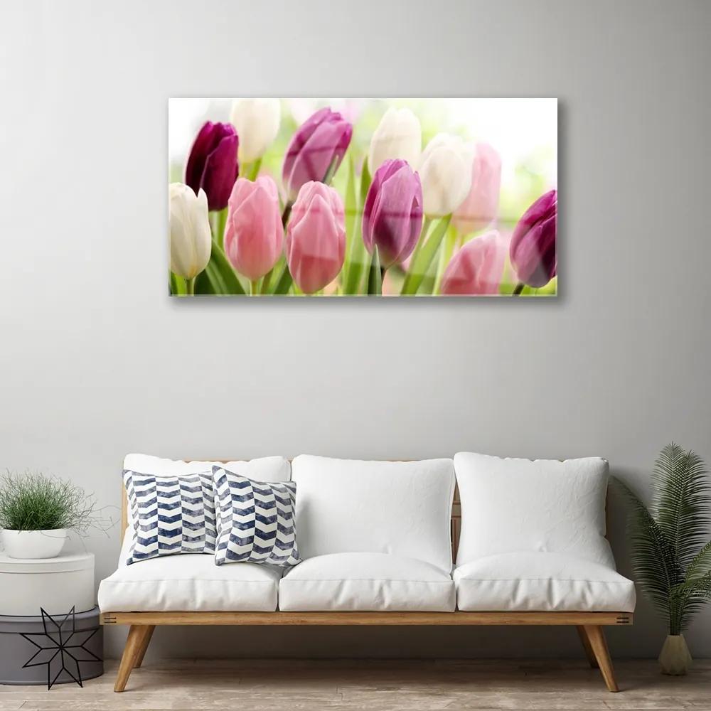 Skleneny obraz Tulipány kvety príroda lúka 100x50 cm