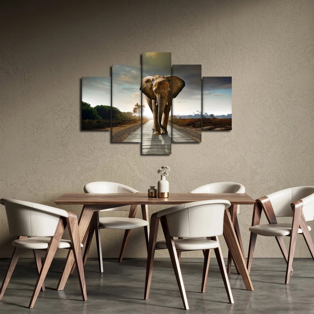 Obraz slona (150x105 cm)