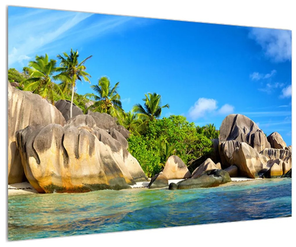 Obraz morskej pláže s palmami (90x60 cm)