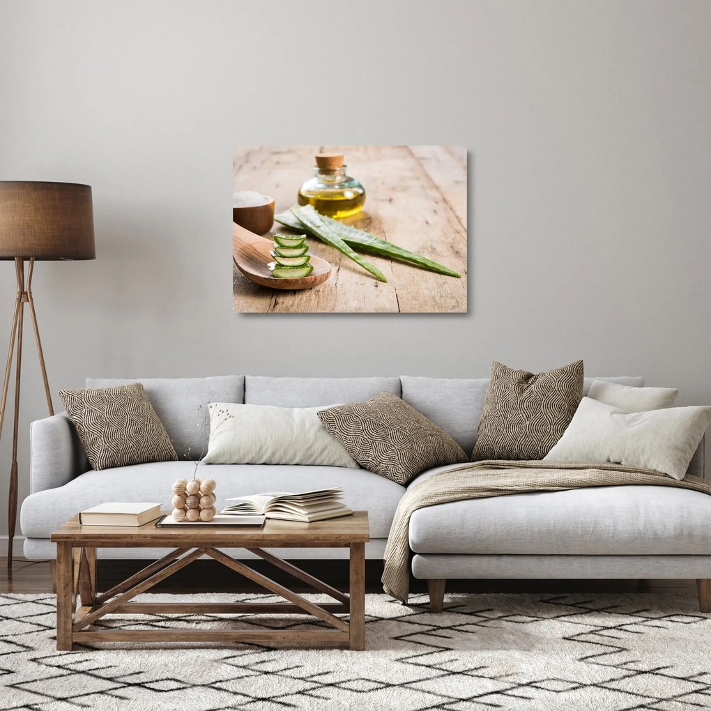 Sklenený obraz - Aloe vera (70x50 cm)