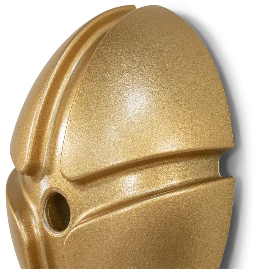 Nástenný háčik v zlatej farbe Tick – Spinder Design