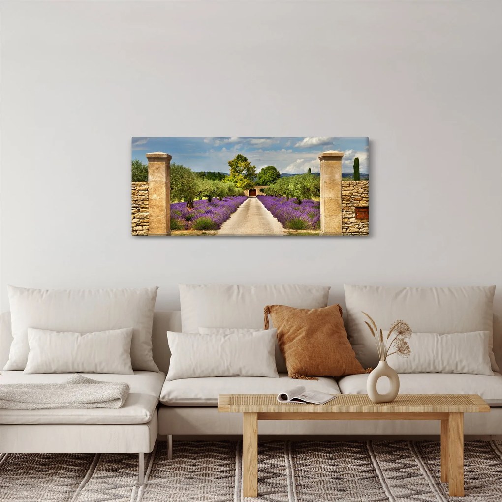 Obraz - Levanduľové cesty (120x50 cm)