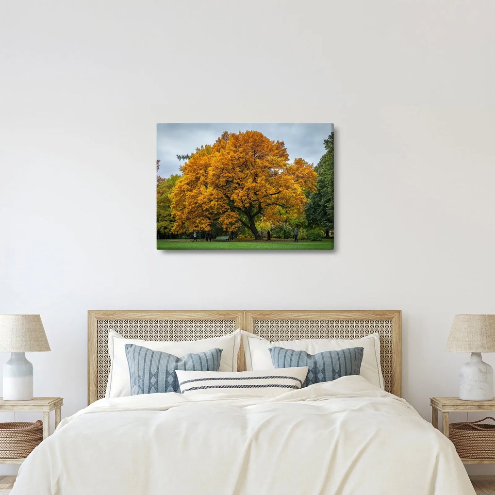 Obraz stromu (70x50 cm)