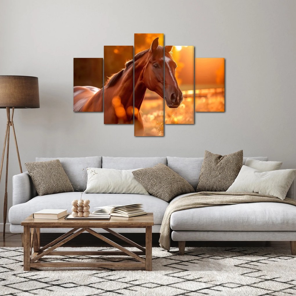 Obraz - Kôň v západe slnka (150x105 cm)