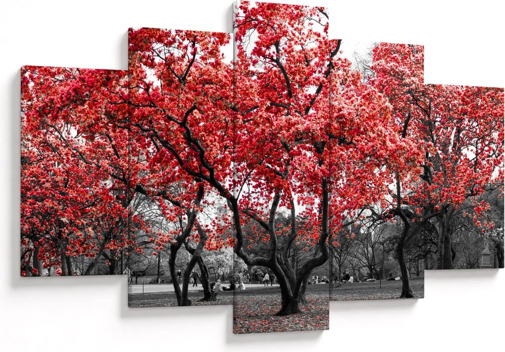 Obraz - Červené stromy, Central Park, New York (150x105 cm)