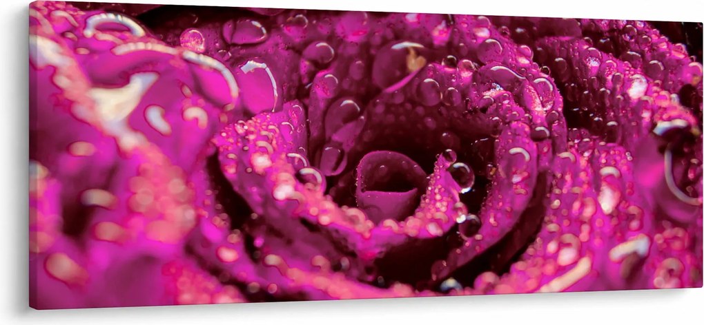 Obraz ružového kvetu ruže (120x50 cm)