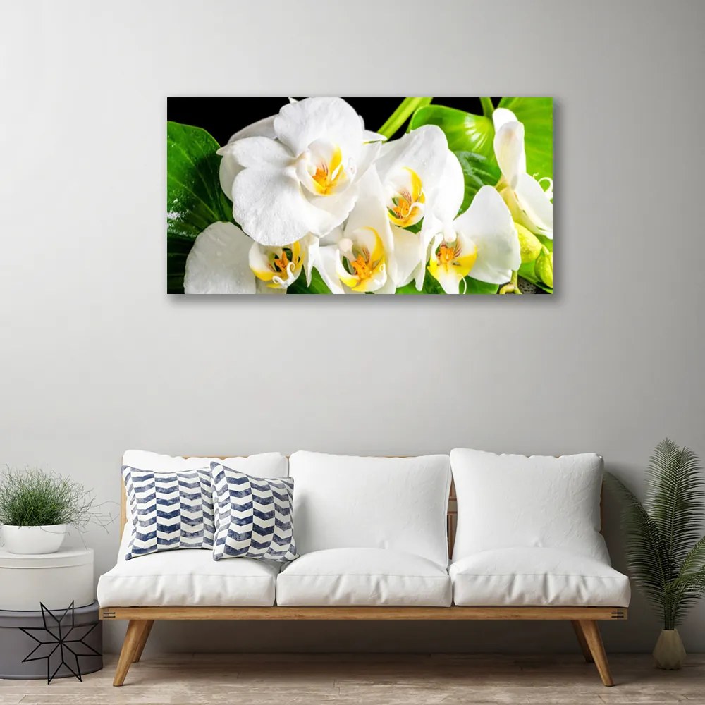 Obraz Canvas Orchidea kvety príroda 100x50 cm