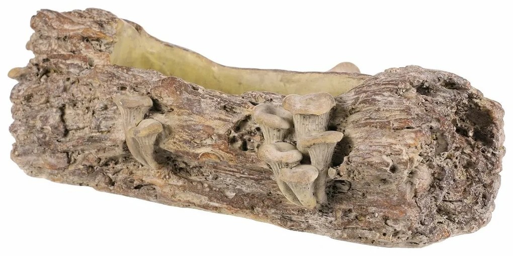 Betonový obal - truhlík, drevo s hubami, 41 x 19 x13 cm, hnedá