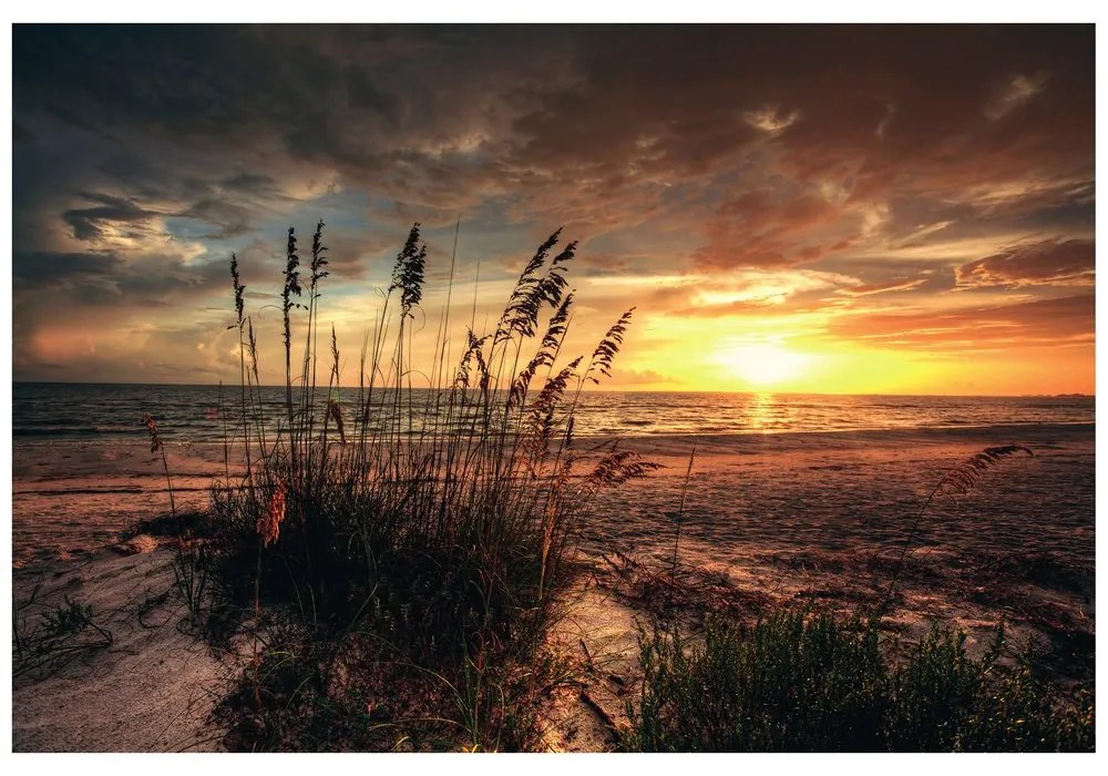 Samolepiaca fototapeta západ slnka na pláži