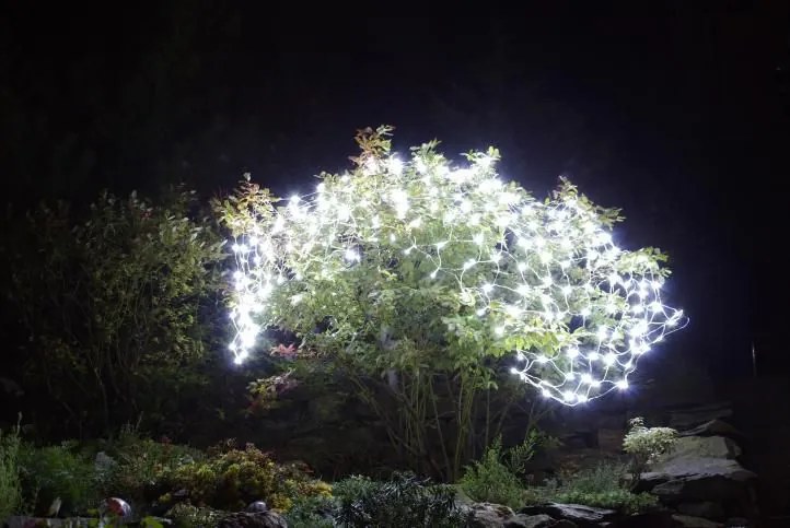 Nexos 1031 Svetelný záves s LED diódami - 3 x 3 m studená biela 128 LED