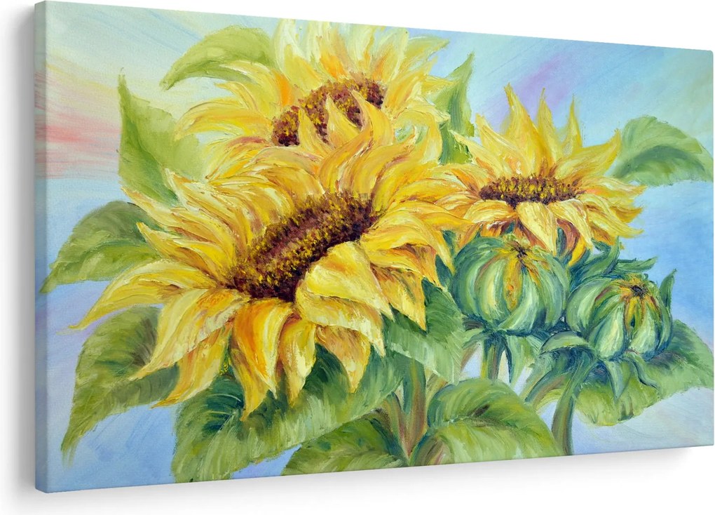 Obraz rozkvitnutých slnečníc (90x60 cm)