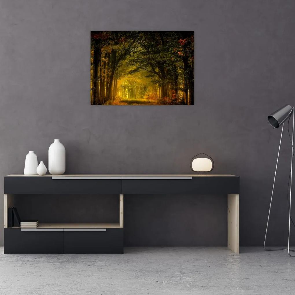 Sklenený obraz lesu (70x50 cm)