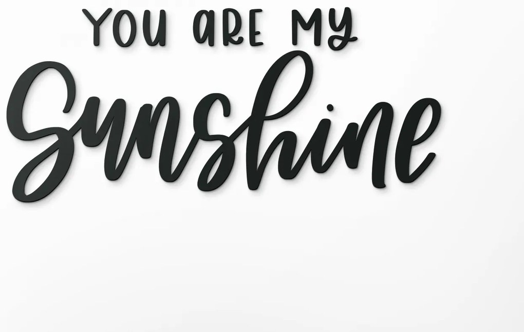 drevko Nápis na stenu You are my sunshine Rozmer obrazu: 19 x 42,5 cm, Farba dekorácie: Čierna