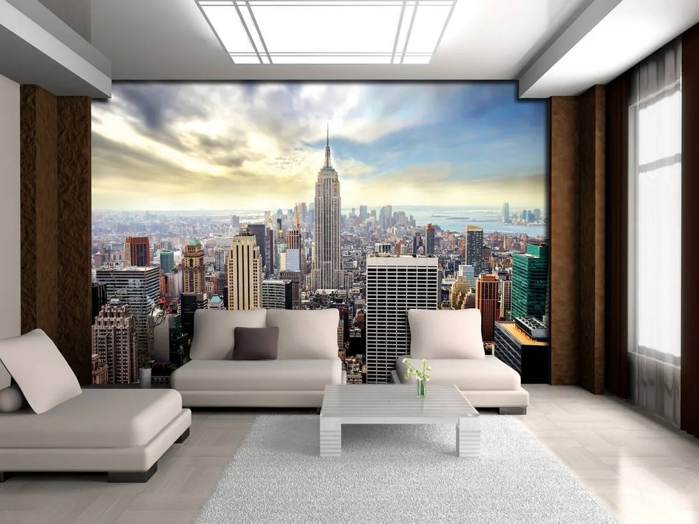 Fototapeta - New York Panorama (254x184 cm)