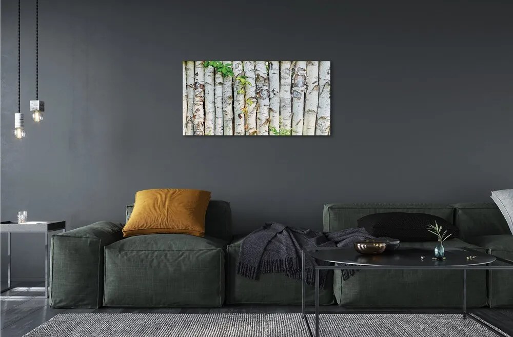 Sklenený obraz brezové lístie 125x50 cm