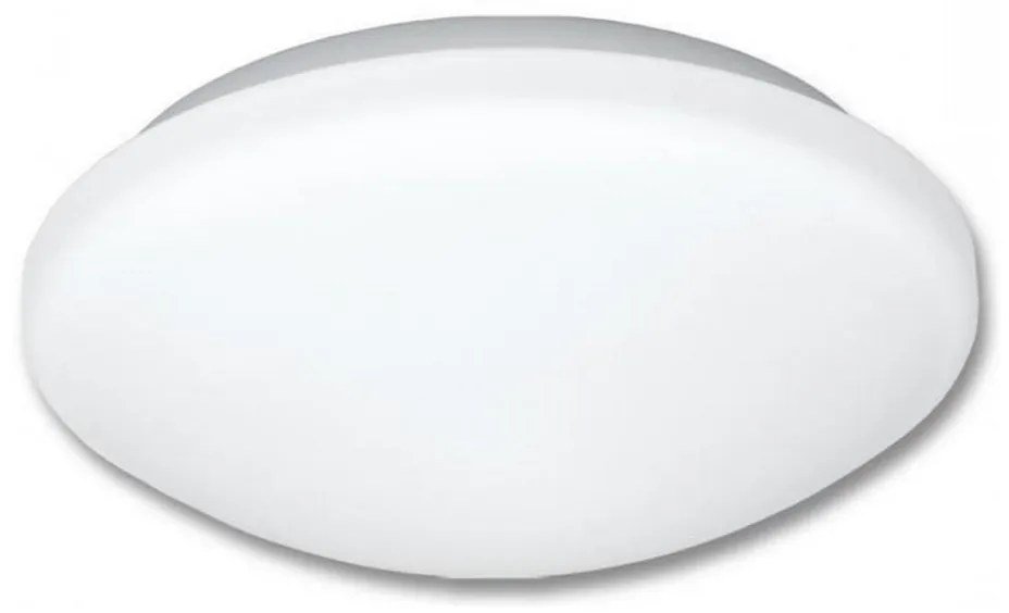 Kúpeľňové stropné svietidlo VICTOR 1xE27/60W/230V IP44