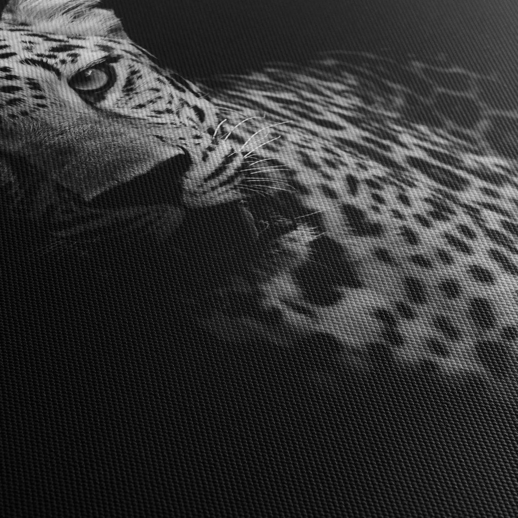 Obraz - Portrét leoparda (150x105 cm)