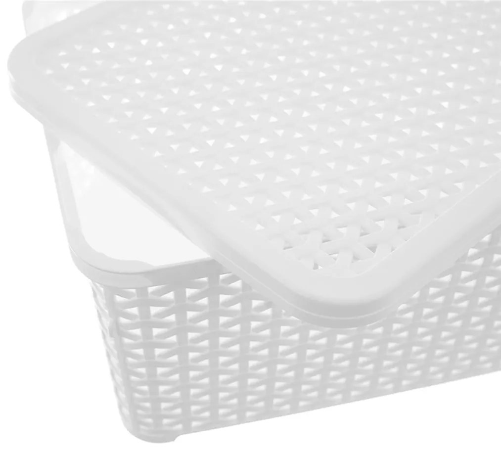 S - Úložný box, ratanový košík, HOBBY s vekom, biely 6 l - 29 x 20 x 13 cm