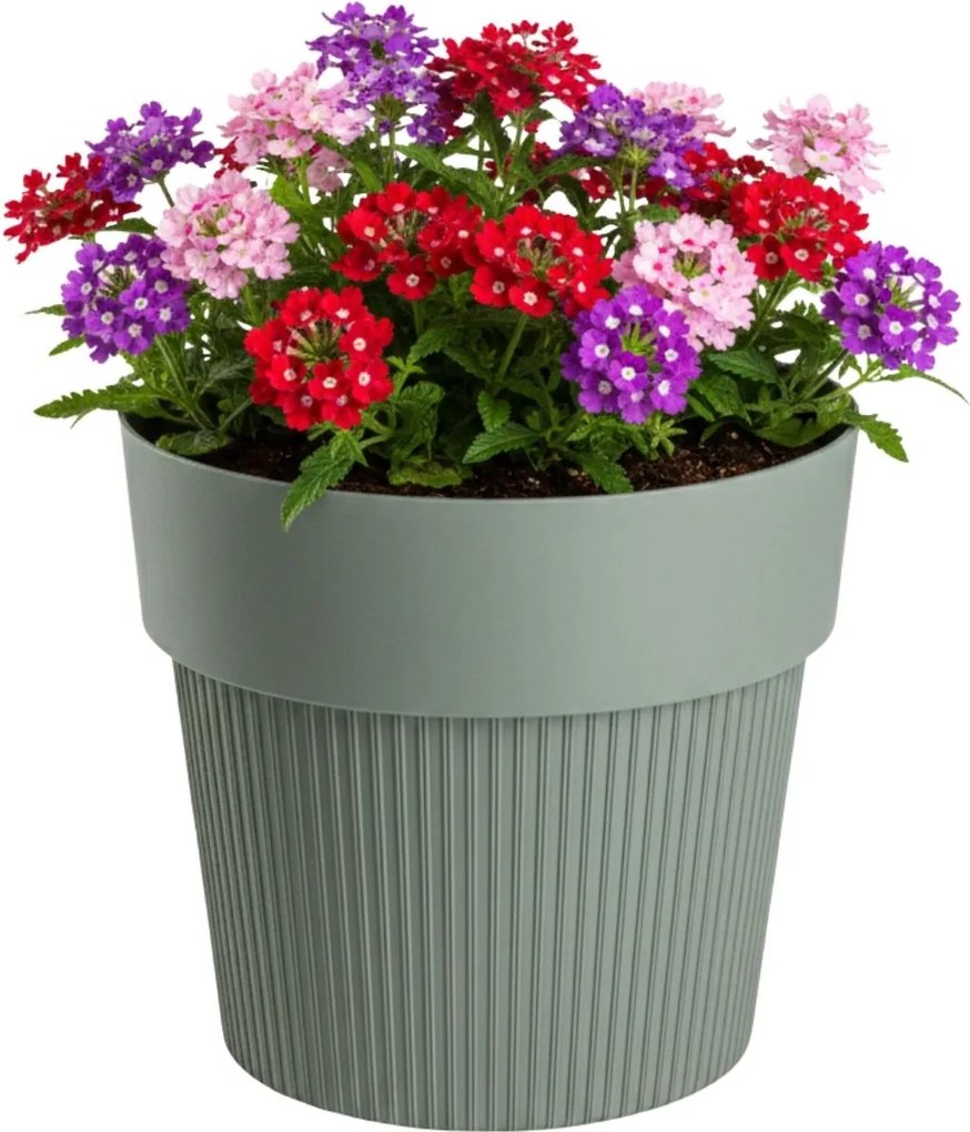 PLASTOVÝ KVETINÁČ SILVA LINE 20X17,5 CM MÄTOVÁ