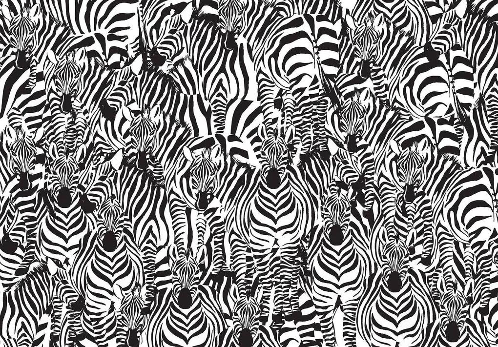 Fototapeta - Zebra (254x184 cm)