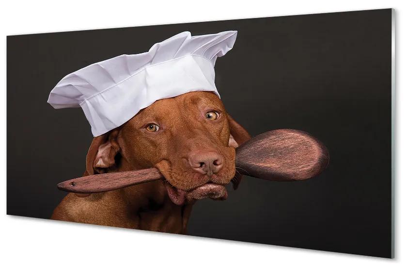 Obraz na akrylátovom skle Dog chef 100x50 cm