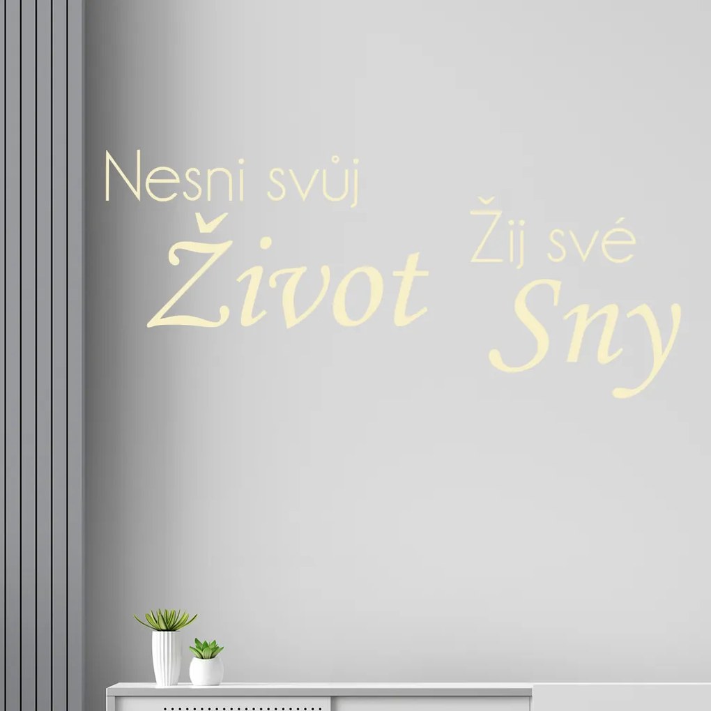 Veselá Stena Samolepka na stenu na stenu Nesnívaj svoj život, ži svoje sny Farba: čierna
