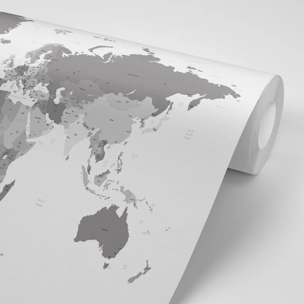 Samolepiaca tapeta detailná mapa sveta v čiernobielom prevedení - 300x200