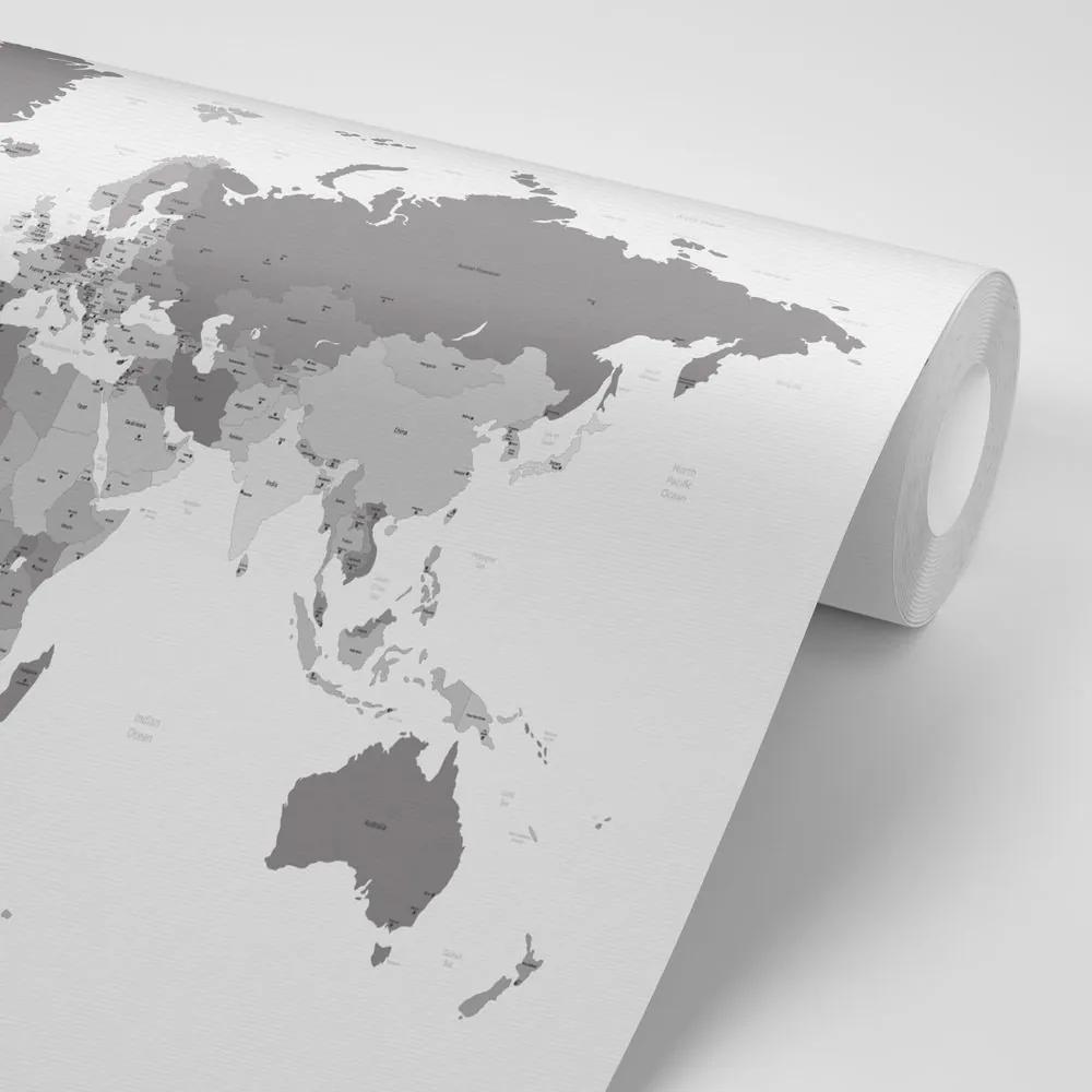 Samolepiaca tapeta detailná mapa sveta v čiernobielom prevedení - 375x250