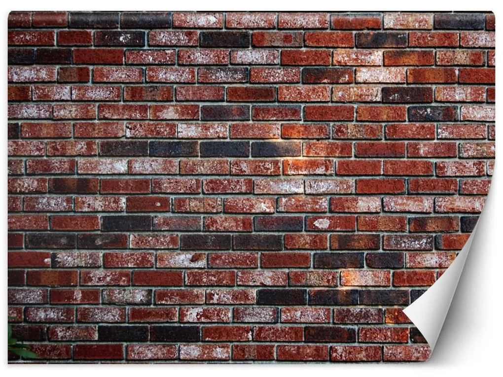 Gario Fototapeta Červená tehlová stena Materiál: Vliesová, Rozmery: 400 x 280 cm