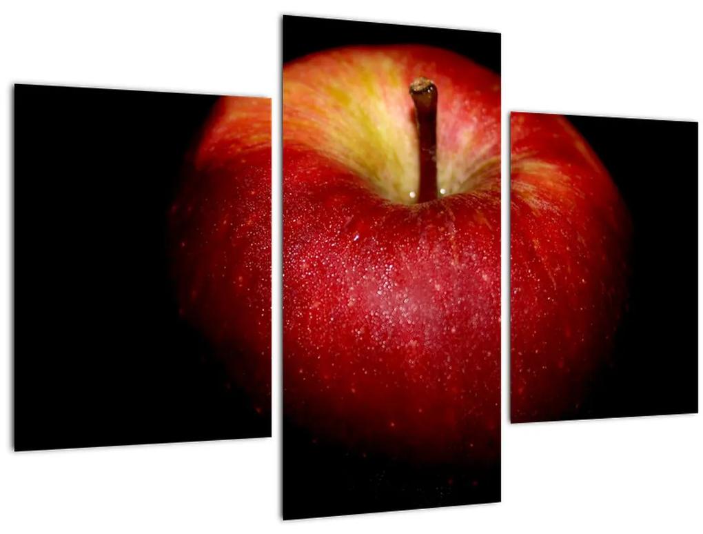 Obraz jablká na čiernom pozadí (90x60 cm)