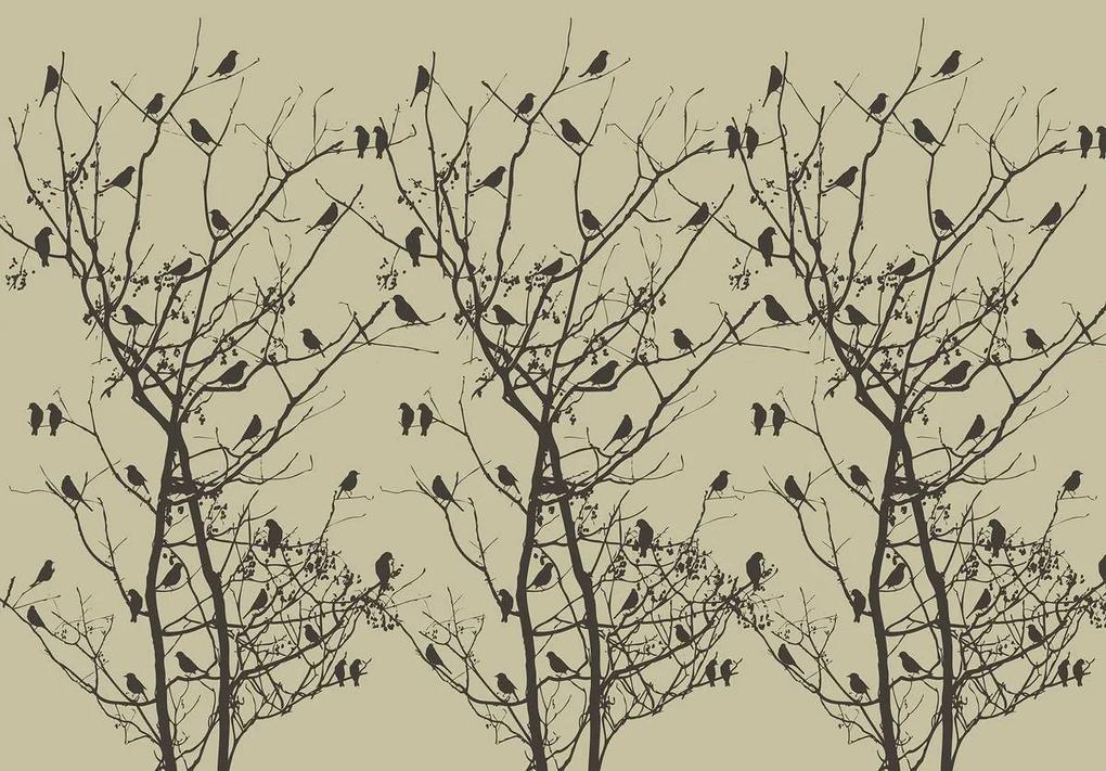 Fototapeta - Vtáky na strome (254x184 cm)