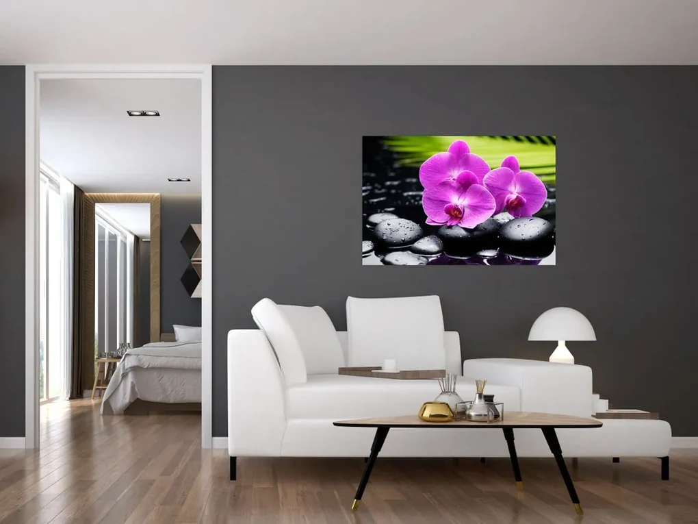 Obraz - Orchidey (90x60 cm)