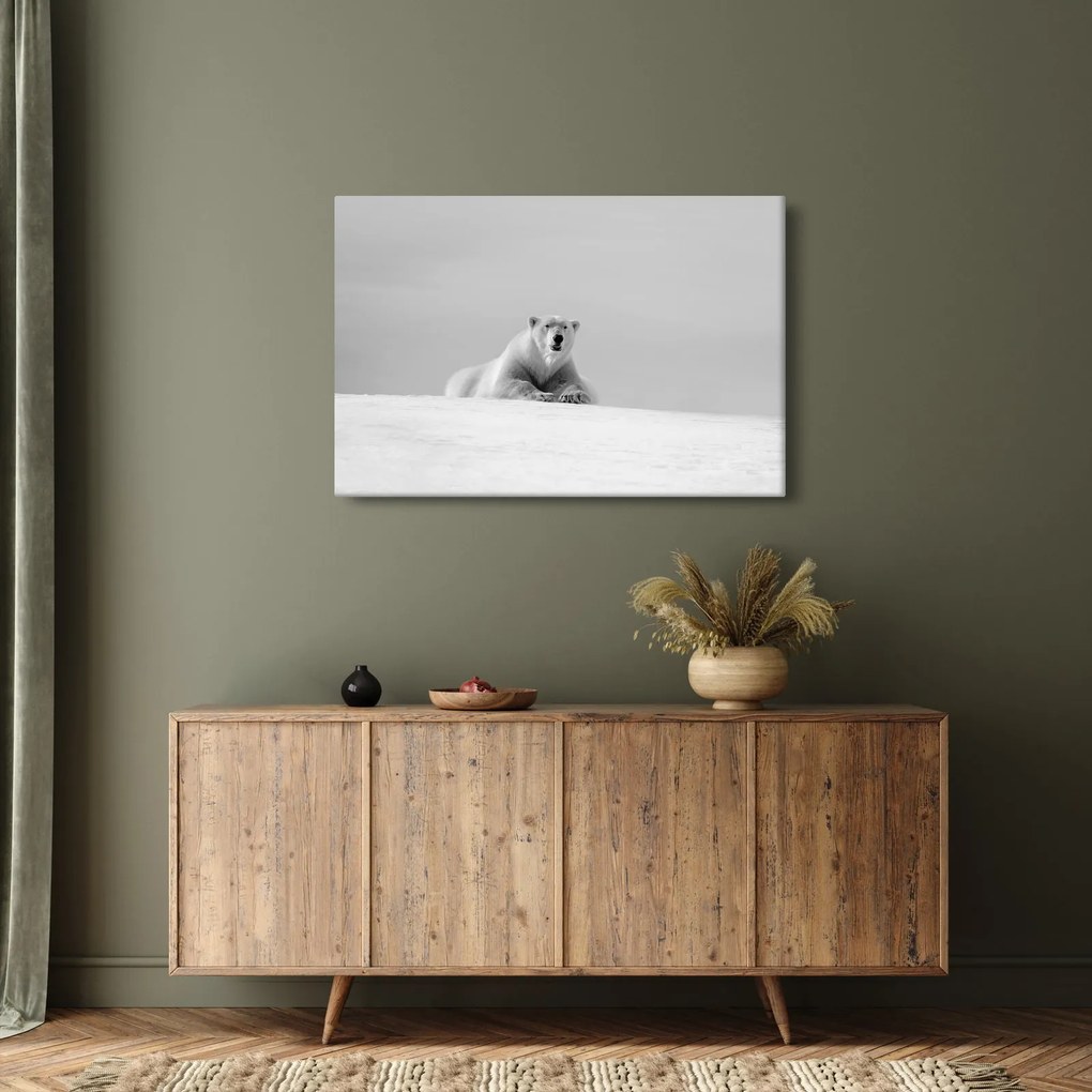 Obraz - Ľadový medveď (90x60 cm)
