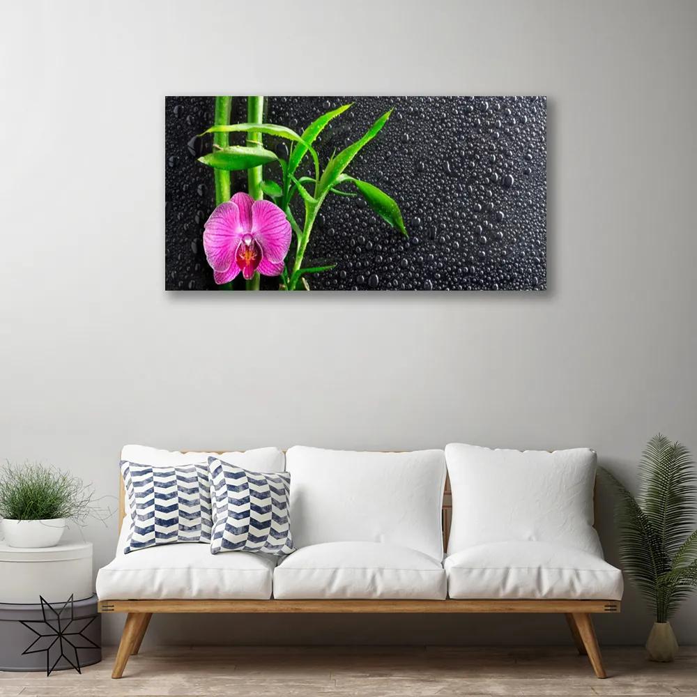 Obraz Canvas Bambus kvet kvapky 140x70 cm