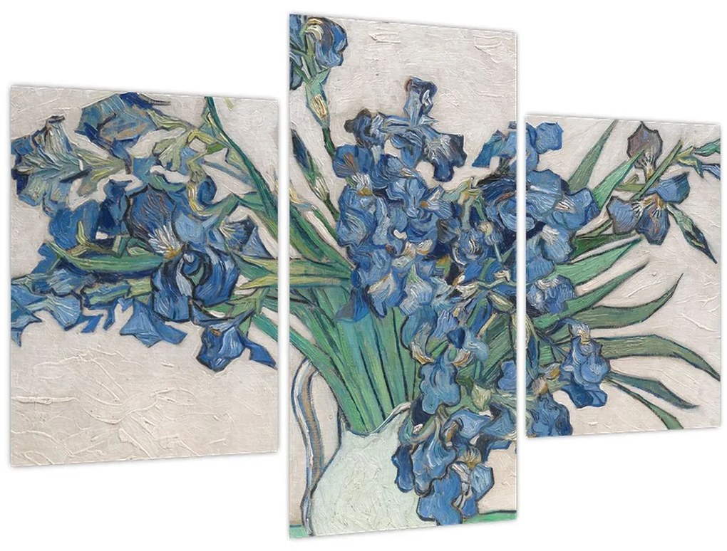 Obraz - Vincent van Gogh, Irises, reprodukcia (90x60 cm)