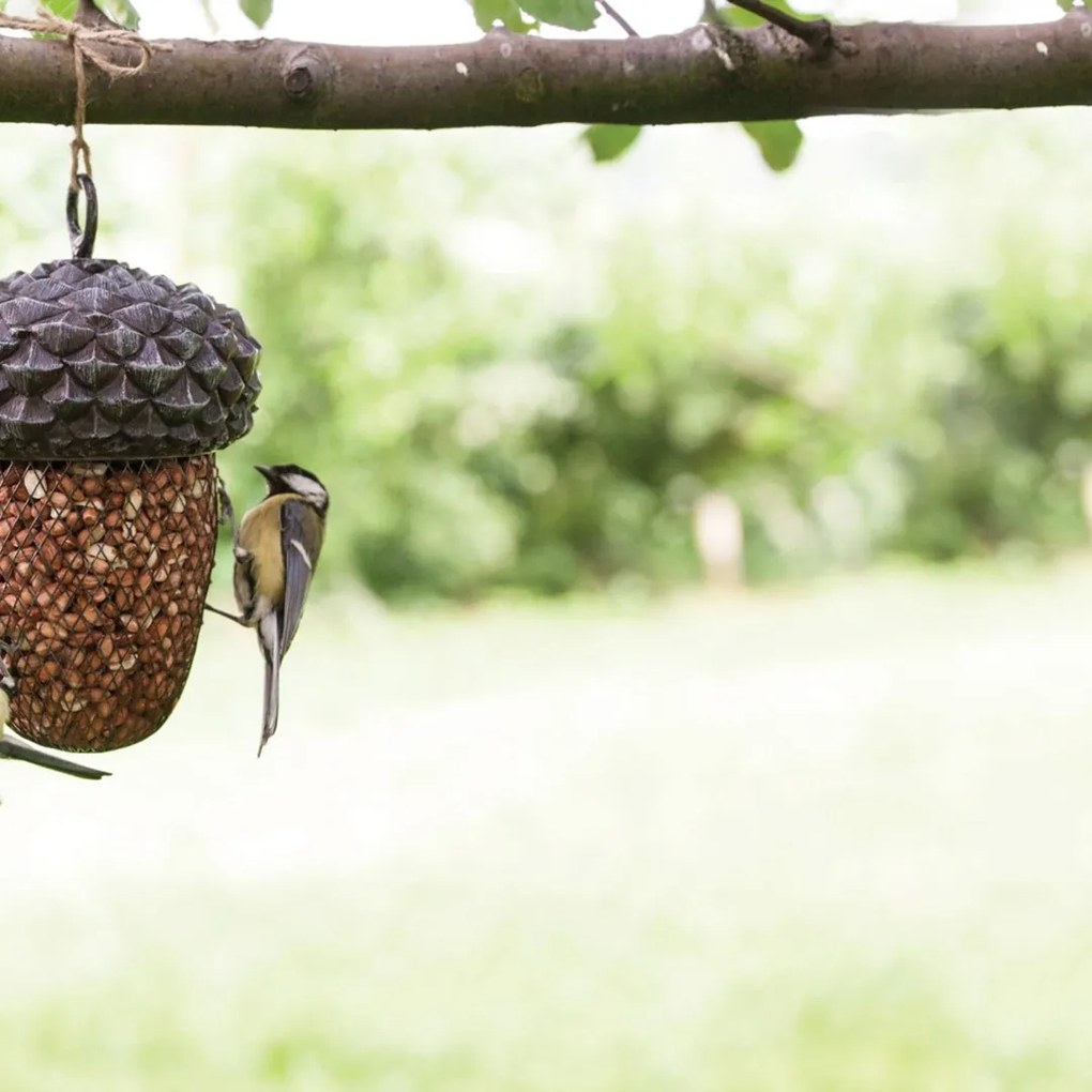Závesné kŕmidlo pre vtáky Acorn, 30x13,5 cm, kov/polyesterová živica, sivá