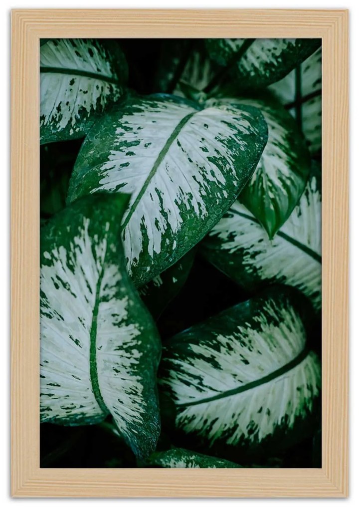 Gario Plagát Zelené tropické rastliny Farba rámu: Bez rámu, Rozmery: 40 x 60 cm