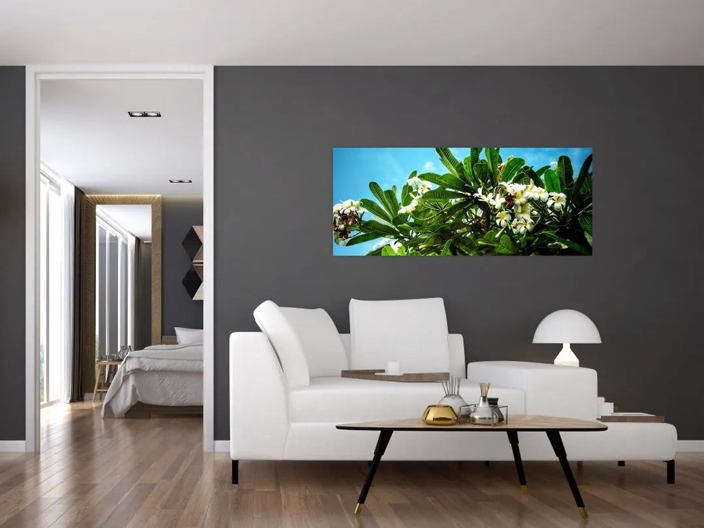 Obraz - Plumeria (120x50 cm)