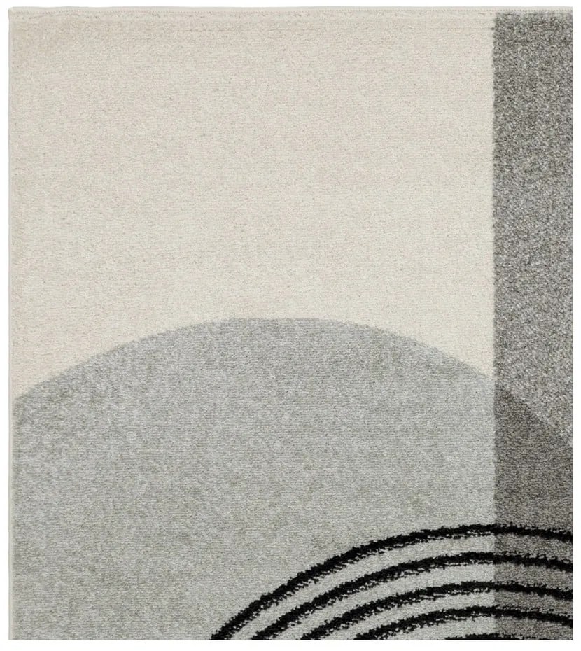 Sivý koberec 230x160 cm Muse - Asiatic Carpets