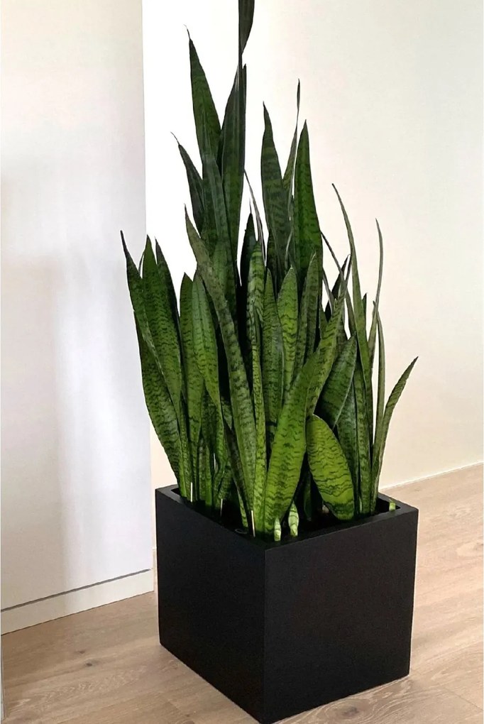 Kvetináč BLOCK, sklolaminát, 40x40x40 cm, antracit